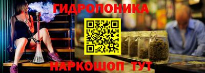 ешки Камышлов