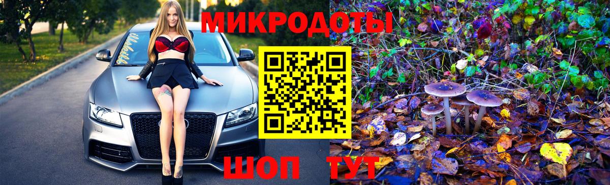 Псилоцибиновые грибы прущие грибы Гуково